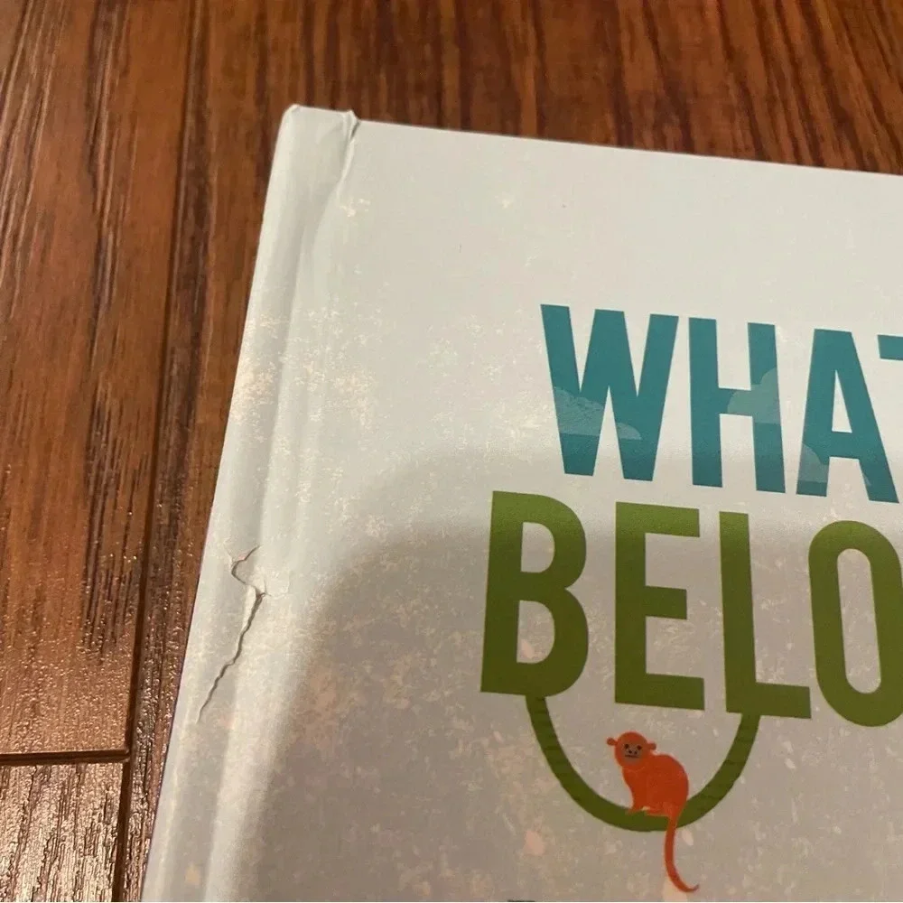 What’s Below Pop Up Book